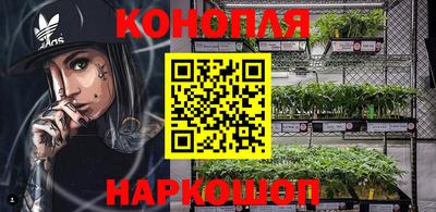 Альфа ПВП Обь